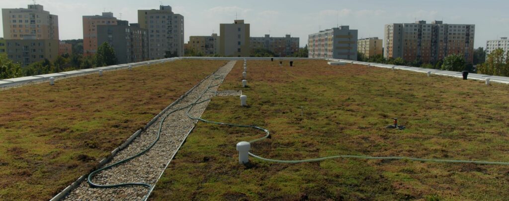 Zelená střecha ZŠ ERNO Košťála