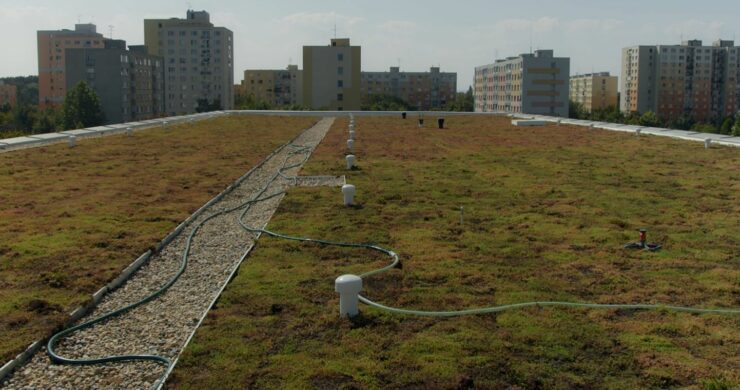 Reference: ZŠ Erno Košťála v&nbsp;Pardubicích: první škola ve městě se zelenou střechou