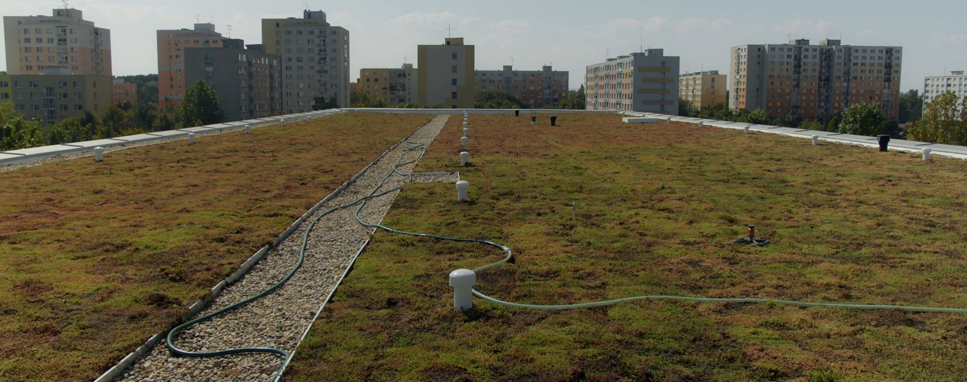 Reference: ZŠ Erno Košťála v&nbsp;Pardubicích: první škola ve městě se zelenou střechou